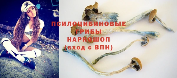 спиды Алексеевка