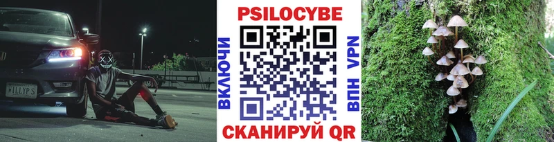 что такое   МЕГА зеркало  Галлюциногенные грибы Psilocybine cubensis  Белоярский 